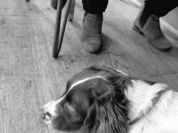 테라스 단골,