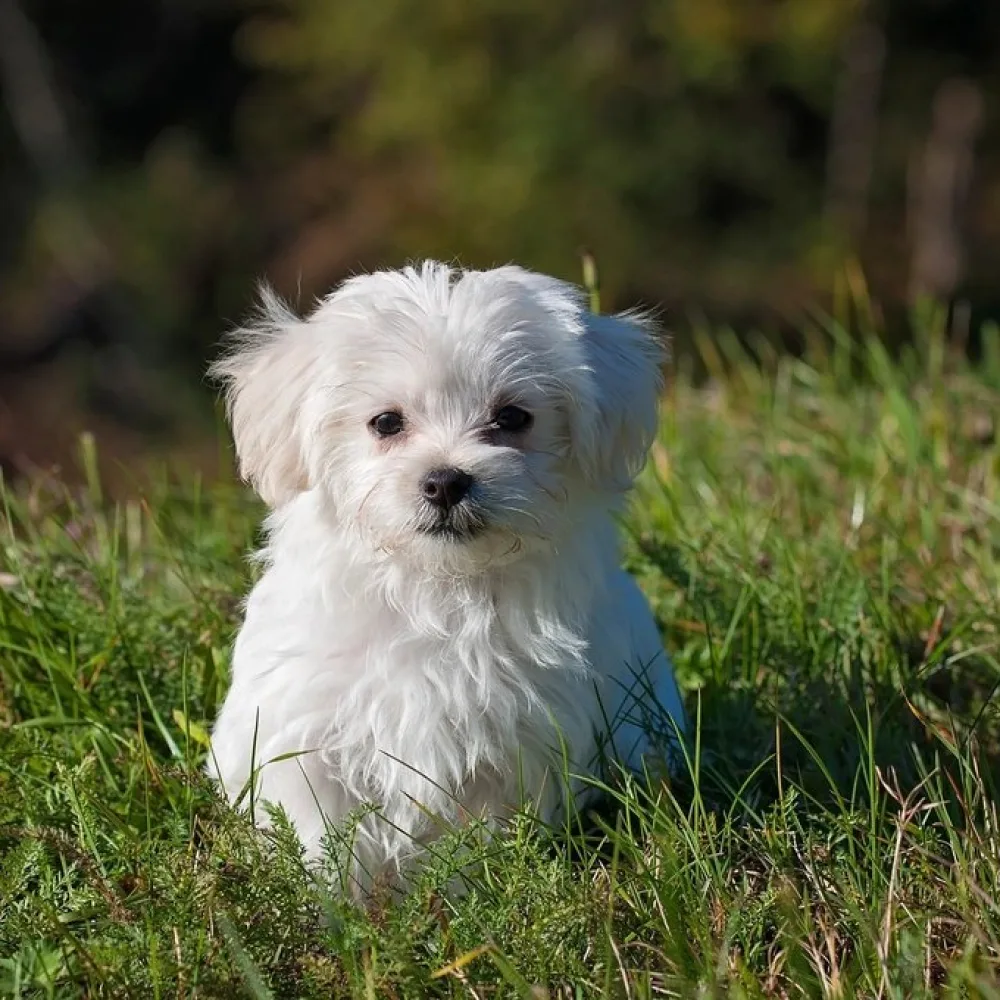 전체 클리핑