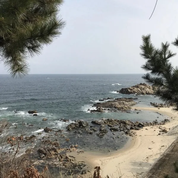 아버지 집을 펜션으로 고친 이야기
